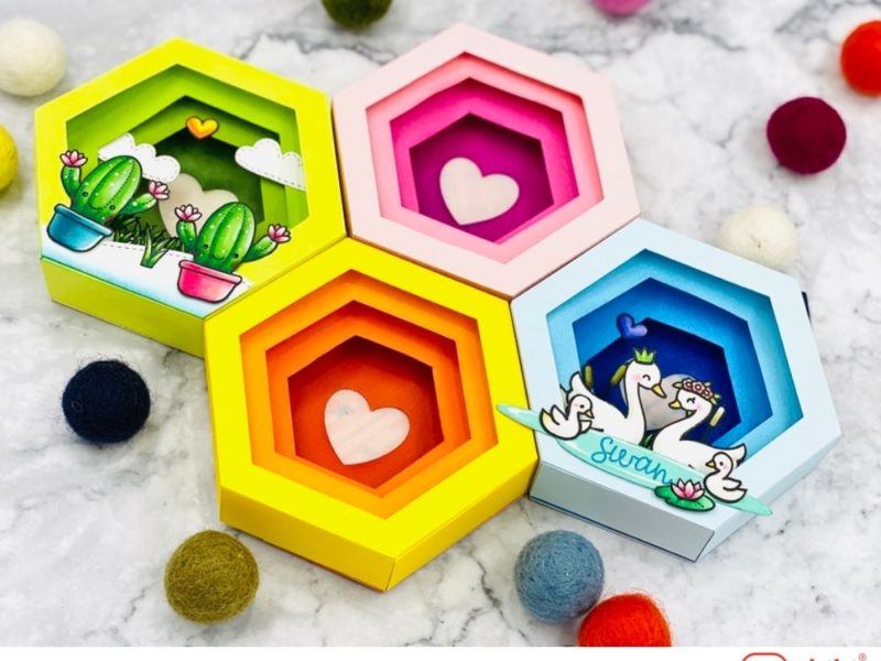 Hexagonal Shadow Box