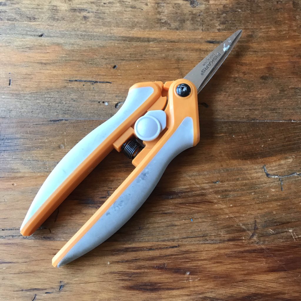 scissors