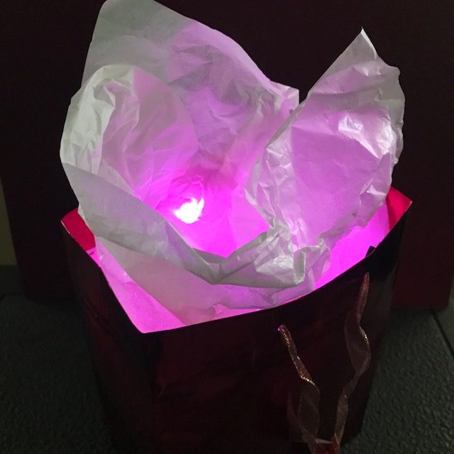 Illuminated Gift Bag