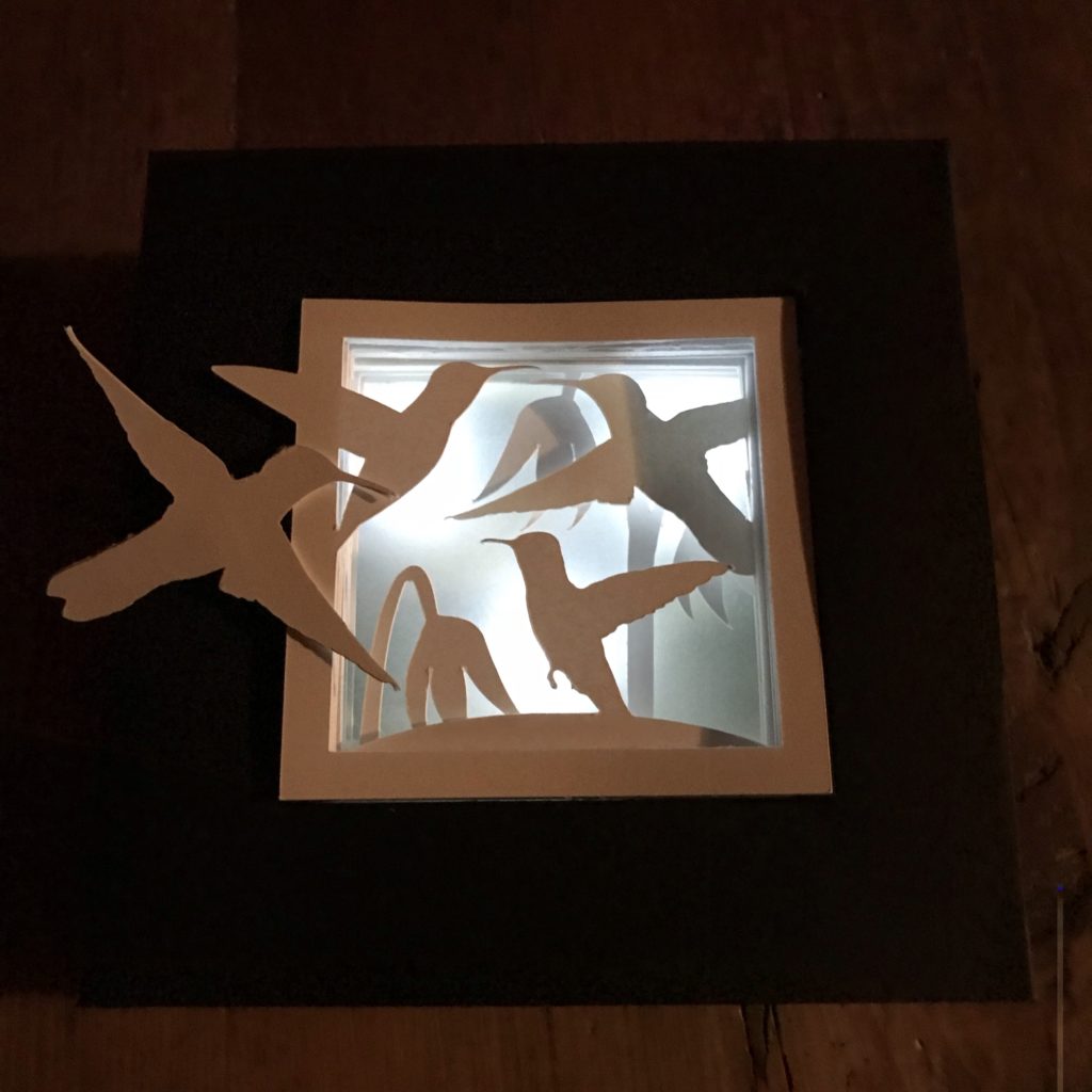 Reed Switch Shadow Box