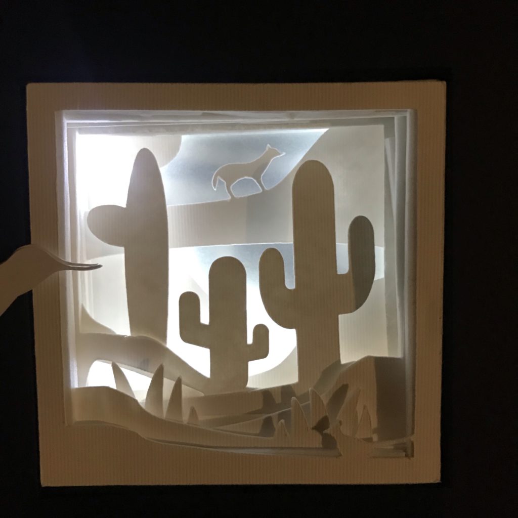 Reed Switch Shadow Box