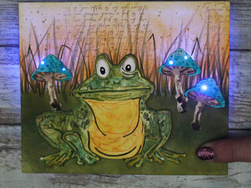 A Ribbit-ing Scene with Light Up Toadstools