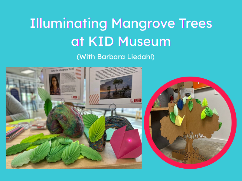 Illuminating Mangrove Trees at KID Museum (With Barbara Liedahl) 
