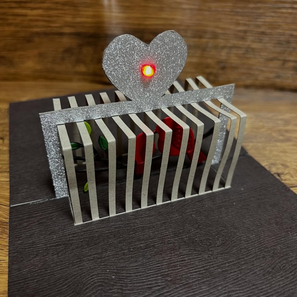 16 Cage @eiken_laboratory 1