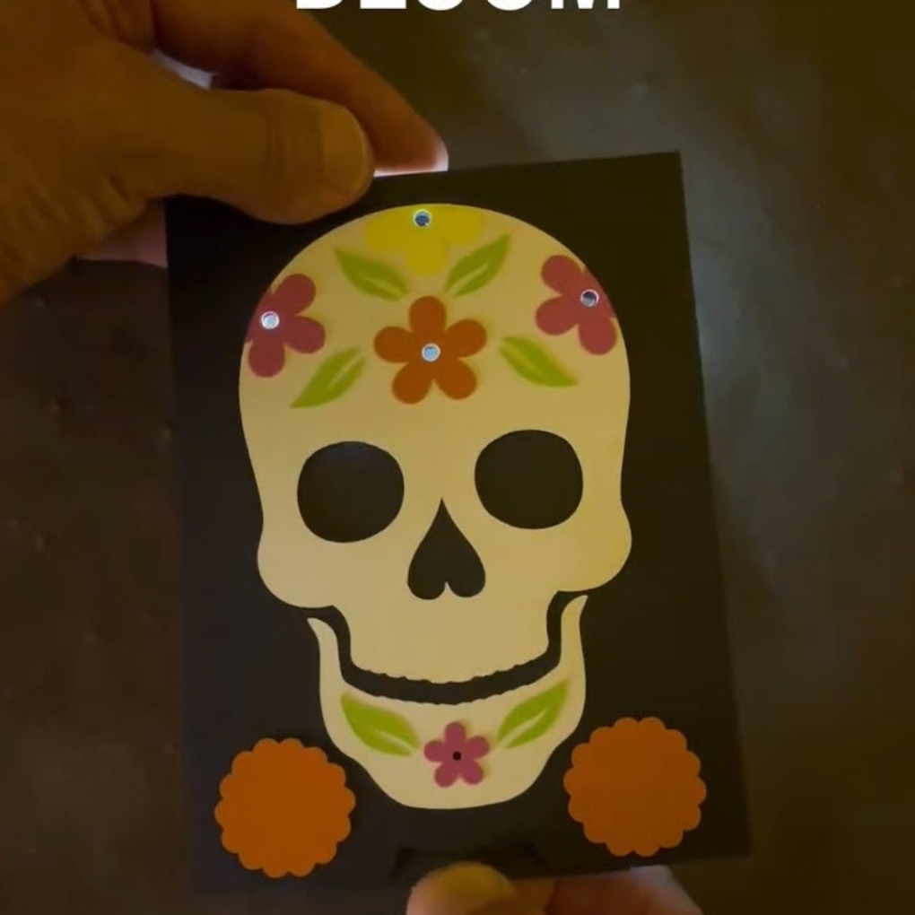 23 Bloom @shawnwilder