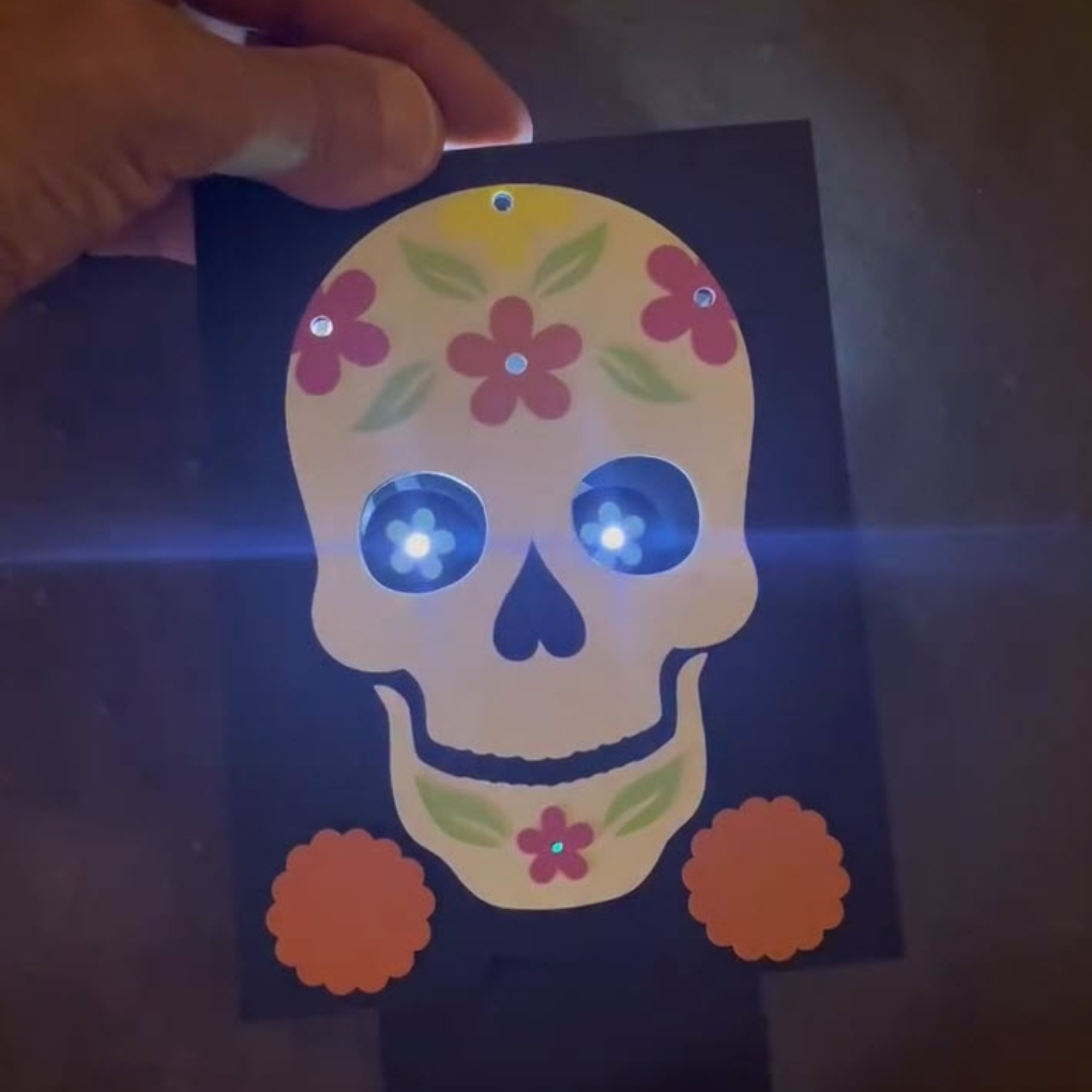 23 Bloom @shawnwilder 3