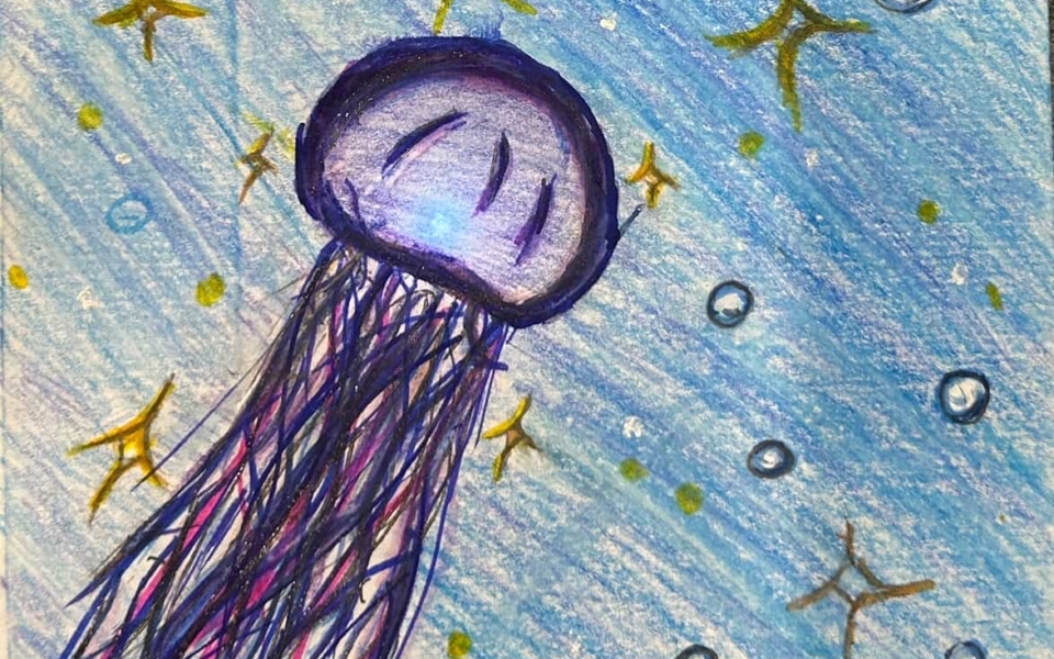 Jellyfish__Chris Sweeney_Castor Gardens Middle School