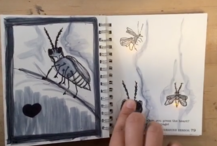 pressure sensor firefly