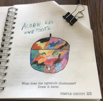 Acorn with a Shiny Tooth