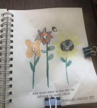 Acorn with a Shiny Tooth